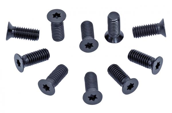 Accessories for planer / thicknesser Bernardo Spare screws of sprial cutter blade (10 pcs.) f. ADM 260 S / AD 260 S / FS 310 PS / PT 310 S