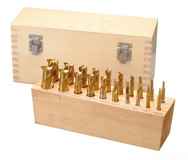 Milling tools Bernardo 20 pcs. HSS TiN-coated end mills